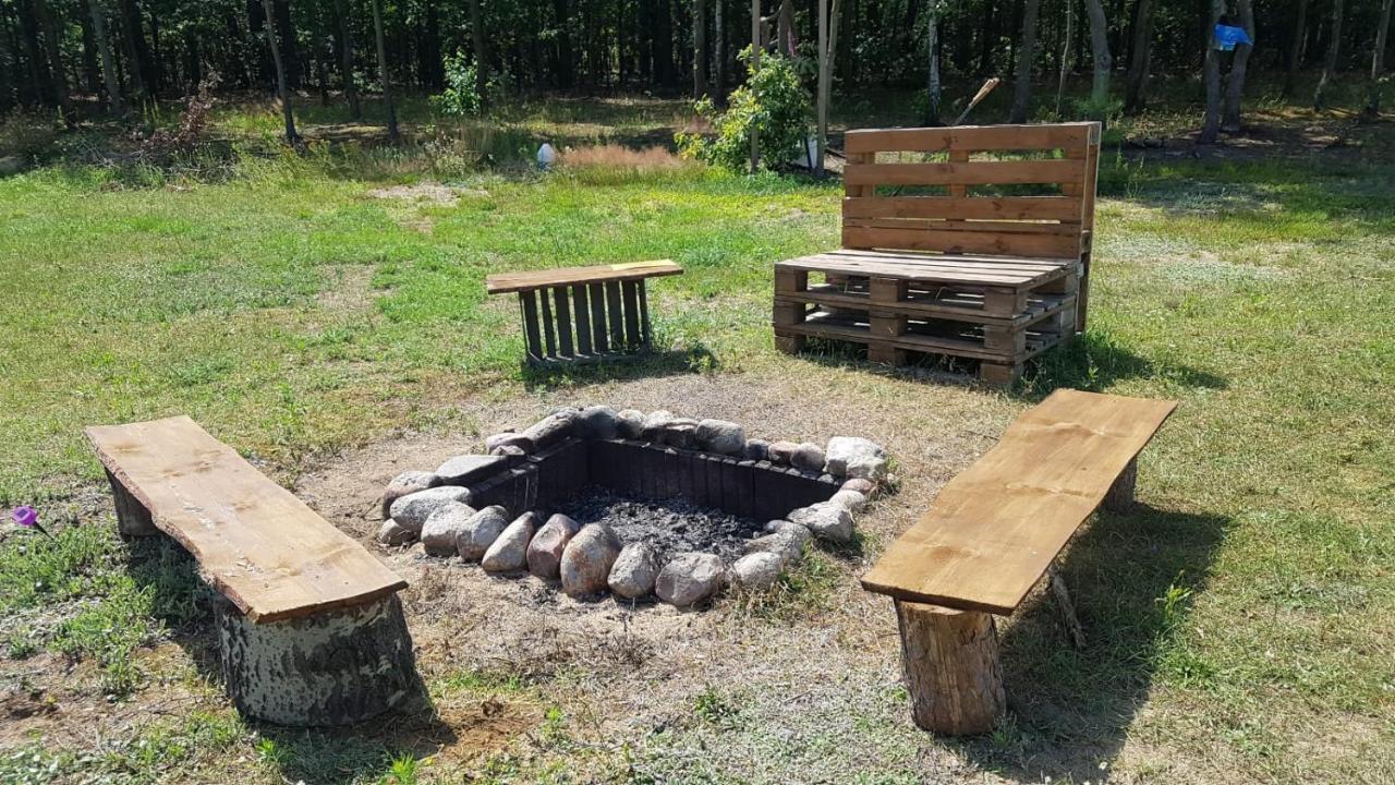 Sosnowe Widoki - Nowe Miasto Nad Rzeka Sona - Dom CalorocznySzczawin  エクステリア 写真