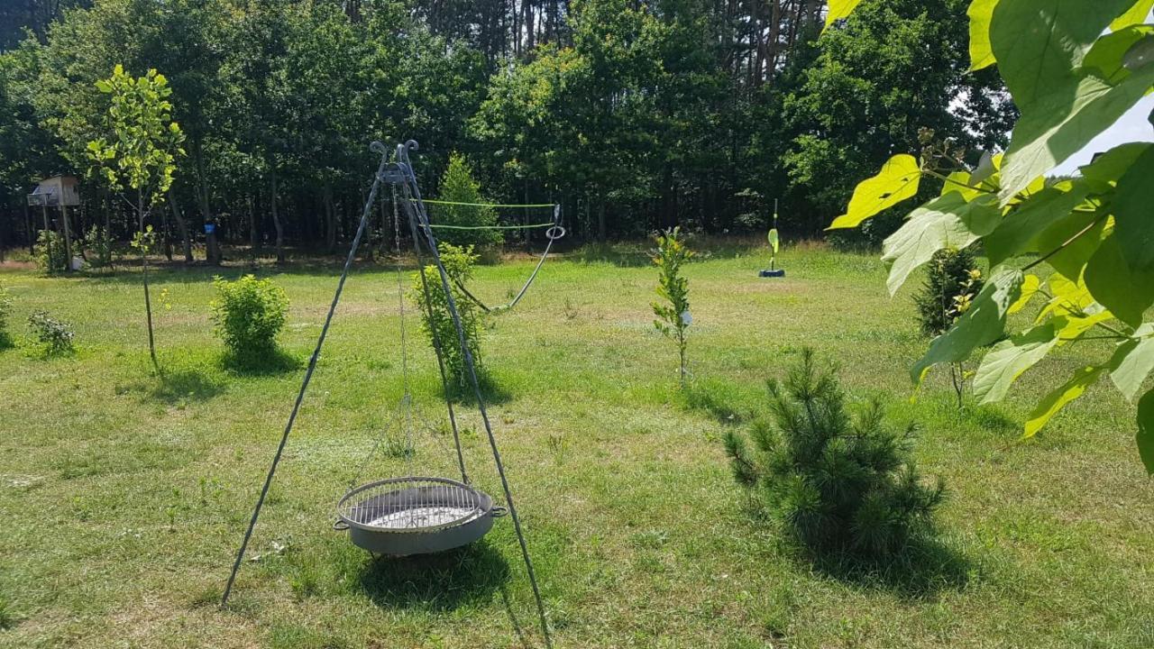 Sosnowe Widoki - Nowe Miasto Nad Rzeka Sona - Dom CalorocznySzczawin  エクステリア 写真
